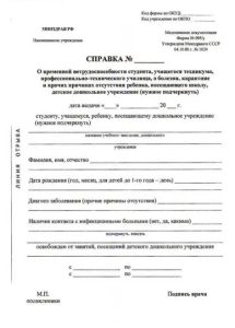 справка 095у